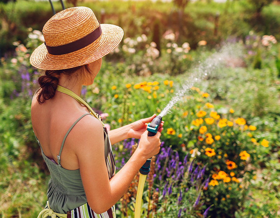 Cómo elegir las mejores herramientas para cuidar tu jardin este verano