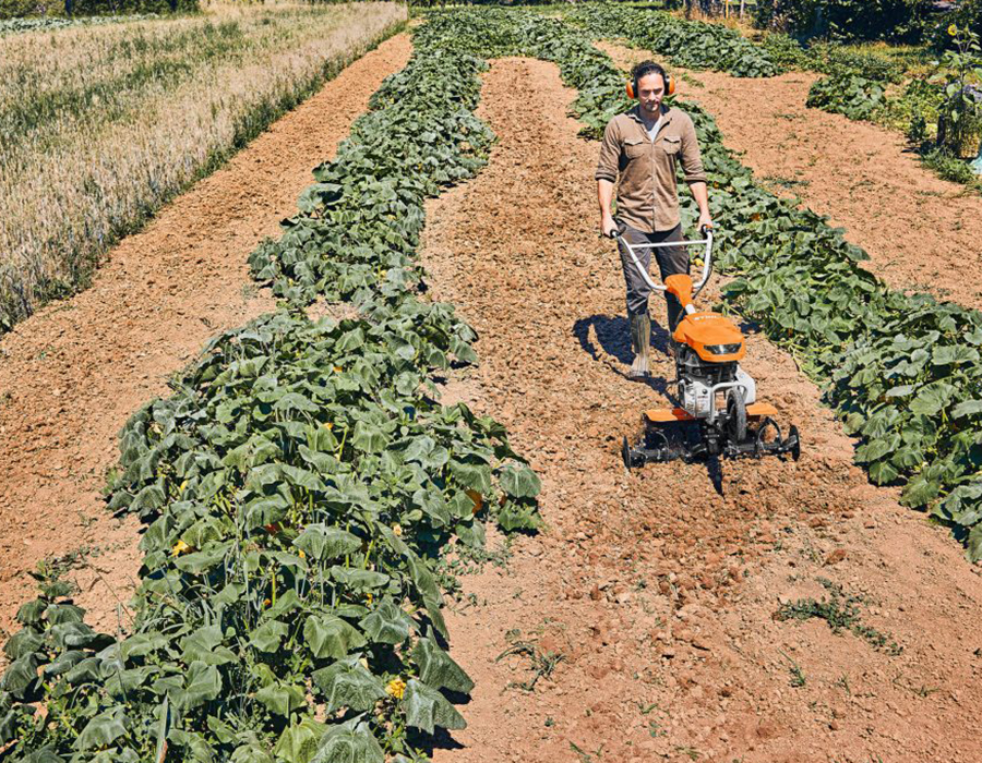 Mantenimiento básico motoazada